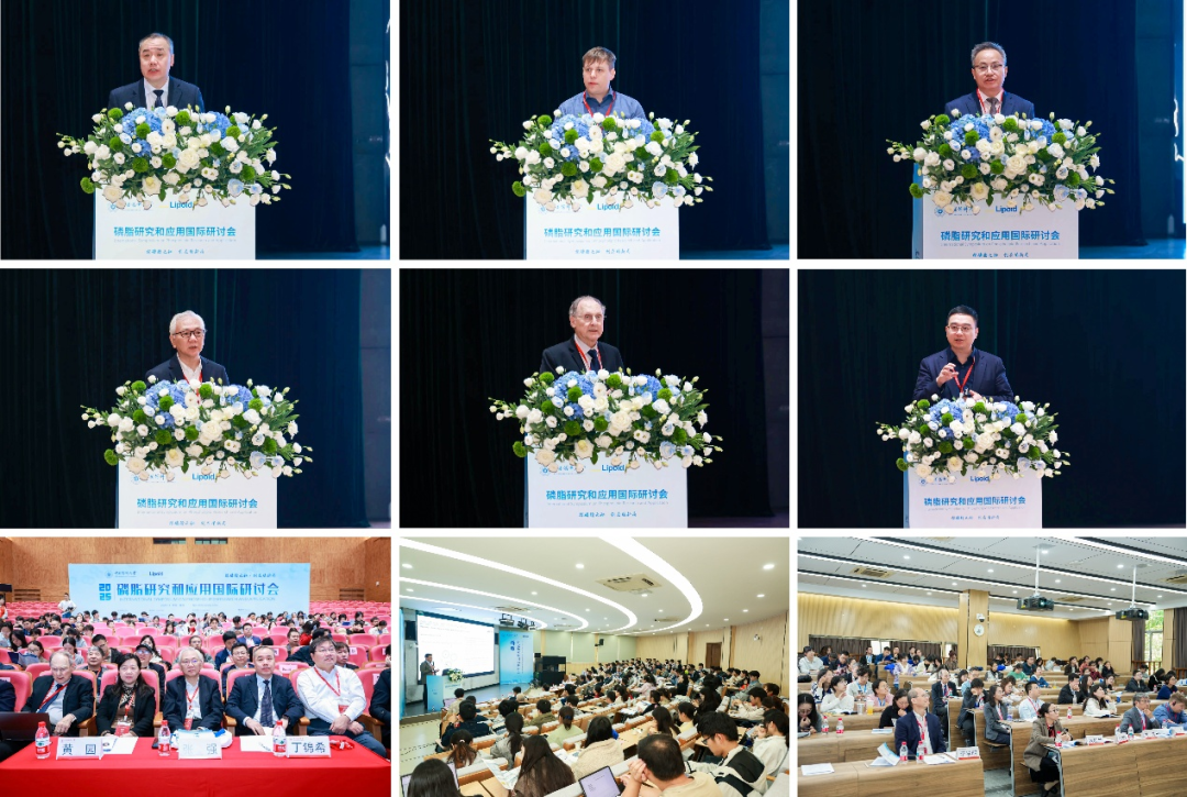 微信图片_2026-07-23_094529_898.png